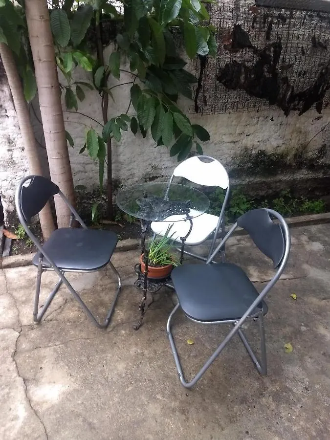 Homestay Quarto Em Casa Atelie Com Sol No Quintal Apartment Sao Paulo Brazil